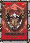 2000 Team Logo L07 - Northern Eagles