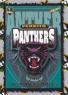 2000 Team Logo L10 - Panthers
